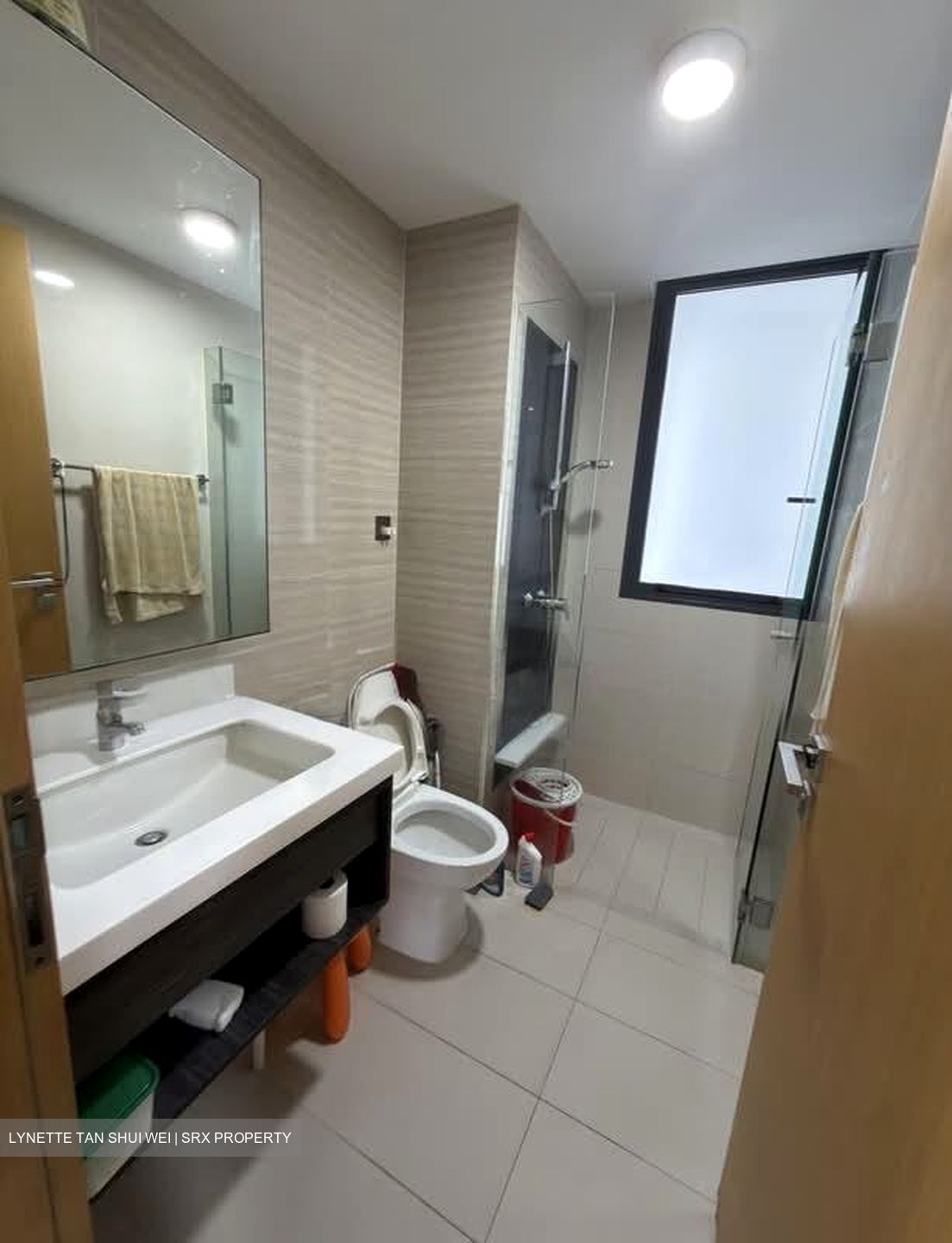 Blossom Residences (D23), Condominium #595466751